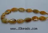 CNG2635 15.5 inches 18*28mm - 20*30mm freeform agate beads