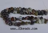 CNG2837 15.5 inches 8*12mm - 15*20mm nuggets botswana agate beads