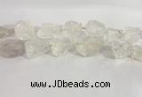 CNG3558 15.5 inches 18*20mm - 25*30mm nuggets rough white crystal beads