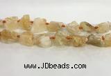 CNG3563 15.5 inches 18*20mm - 25*30mm nuggets rough citrine beads