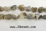 CNG3568 15.5 inches 18*20mm - 25*30mm nuggets rough agate beads