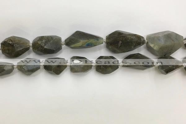 CNG3589 13*18mm - 15*30mm faceted nuggets labradorite beads