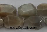 CNG5089 15.5 inches 13*18mm - 15*25mm faceted nuggets sunstone beads