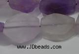 CNG5117 15.5 inches 14*20mm - 18*25mm freeform matte amethyst beads