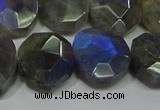 CNG5144 15.5 inches 15*18mm - 15*20mm faceted freeform labradorite beads