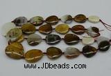 CNG5158 15.5 inches 16*22mm - 30*35mm freeform Mexican agate beads