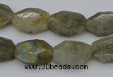 CNG5253 15.5 inches 13*18mm - 15*20mm faceted freeform labradorite beads