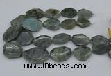 CNG5254 15.5 inches 22*30mm - 35*45mm faceted freeform labradorite beads