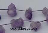 CNG5260 15.5 inches 5*8mm - 15*20mm nuggets amethyst beads