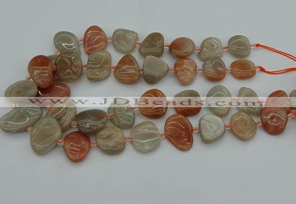 CNG5290 15.5 inches 13*18mm - 15*20mm freeform moonstone beads