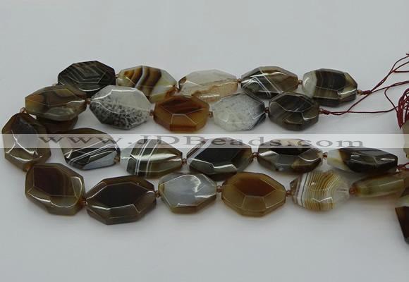 CNG5349 15.5 inches 25*35mm - 30*40mm faceted freeform agate beads