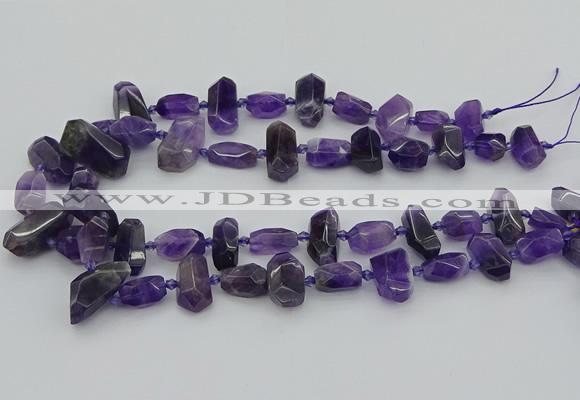 CNG5370 15.5 inches 10*15mm - 15*25mm faceted nuggets amethyst beads