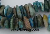 CNG5438 15.5 inches 3*10mm - 5*18mm nuggets apatite beads