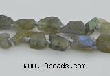 CNG5620 6*9mm - 10*16mm nuggets labradorite gemstone beads