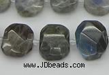 CNG5722 15.5 inches 12*16mm - 15*20mm faceted freeform labradorite beads