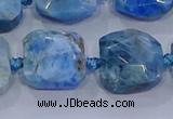 CNG5786 15.5 inches 10*12mm - 10*14mm faceted freeform apatite beads