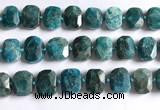 CNG5789 15.5 inches 13*18mm - 15*20mm faceted freeform apatite beads