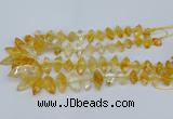 CNG5825 15.5 inches 8*18mm - 13*30mm freeform citrine beads