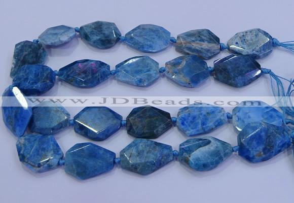 CNG5960 15.5 inches 18*25mm - 25*35mm faceted freeform apatite beads