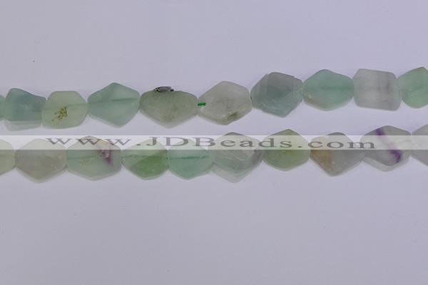 CNG6361 15.5 inches 14*18mm - 16*22mm freeform matte fluorite beads