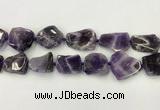 CNG6946 15.5 inches 22*25mm - 25*30mm freeform amethyst beads