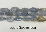 CNG6950 15.5 inches 18*20mm - 22*30mm freeform blue chalcedony beads