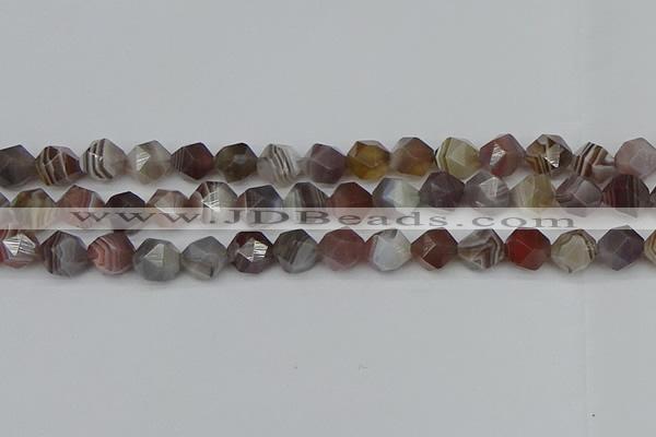 CNG7347 15.5 inches 10mm faceted nuggets botswana agate beads