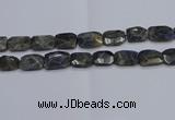 CNG7487 15.5 inches 18*25mm - 20*30mm faceted freeform labradorite beads