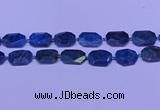 CNG7533 15.5 inches 18*25mm - 25*35mm faceted freeform apatite beads