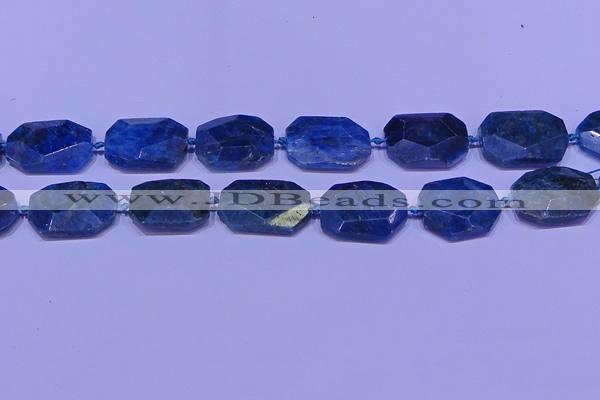 CNG7533 15.5 inches 18*25mm - 25*35mm faceted freeform apatite beads