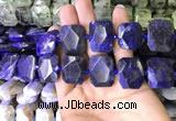 CNG7562 15.5 inches 18*25mm - 20*28mm faceted freeform sodalite beads