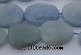 CNG7574 15.5 inches 10*14mm - 13*18mm freeform aquamarine beads