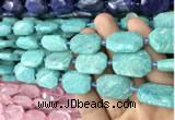 CNG7814 15.5 inches 13*18mm - 18*25mm faceted freeform amazonite beads