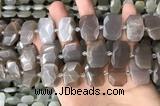 CNG7886 13*18mm - 15*25mm faceted freeform moonstone beads