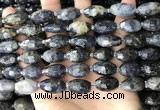 CNG8521 15.5 inches 10*16mm - 11*20mm faceted nuggets iolite beads