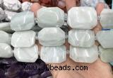 CNG8555 22*30mm - 25*35mm faceted freeform amazonite beads