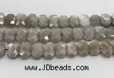 CNG8615 10*13mm - 12*16mm faceted freeform moonstone beads