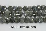 CNG8622 10*13mm - 12*16mm faceted freeform labradorite beads