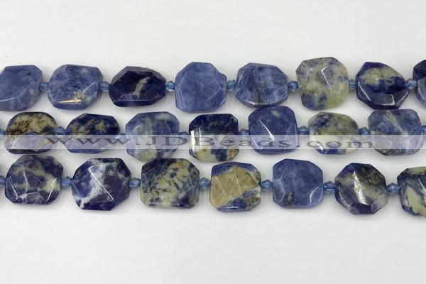 CNG8819 15.5 inches 16mm - 20mm faceted freeform sodalite beads