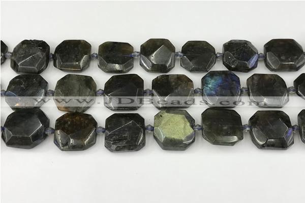 CNG8824 15.5 inches 16mm - 20mm faceted freeform labradorite beads