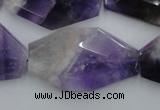 CNG893 15.5 inches 22*30mm faceted freeform dogtooth amethyst beads