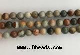 CNI372 15.5 inches 10mm round American picture jasper beads