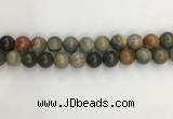 CNI373 15.5 inches 12mm round American picture jasper beads