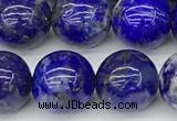 CNL1728 15 inches 10mm round lapis lazuli beads