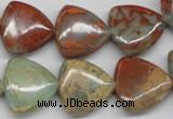 CNS185 15.5 inches 20*20mm triangle natural serpentine jasper beads