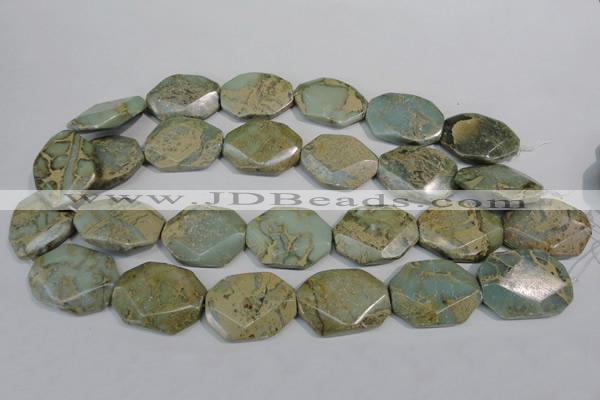 CNS263 15.5 inches 22*30mm octagonal natural serpentine jasper beads