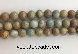 CNS704 15.5 inches 12mm round serpentine jasper beads wholesale