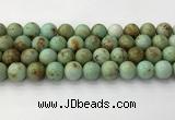 CNT419 15.5 inches 12mm round mongolian turquoise beads wholesale