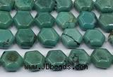 CNT548 15.5 inches 6mm hexagon turquoise gemstone beads