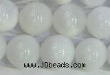 COP1617 15.5 inches 10mm round white opal gemstone beads